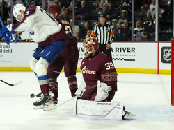 Avalanche Coyotes Hockey
