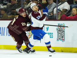 Avalanche Coyotes Hockey