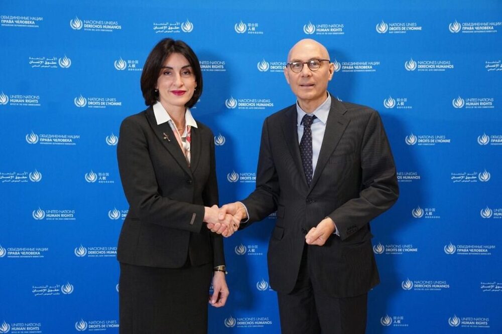 ГПБ: Грузинската външна министърка се срещна с върховния комисар на ООН по правата на човека