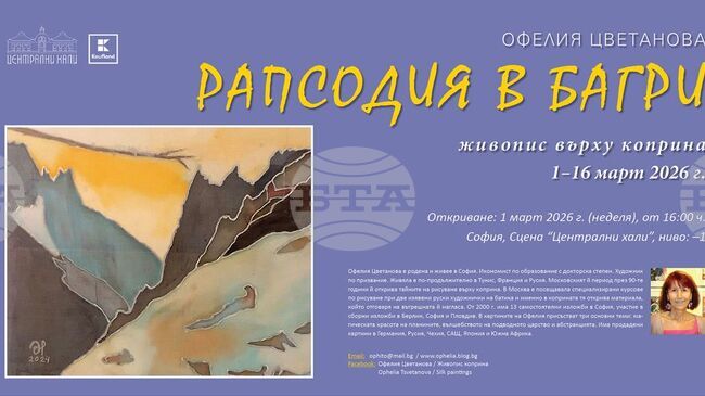 Офелия Цветанова рисува върху коприна „Рапсодия в багри“
