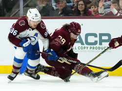 Avalanche Coyotes Hockey