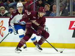 Avalanche Coyotes Hockey