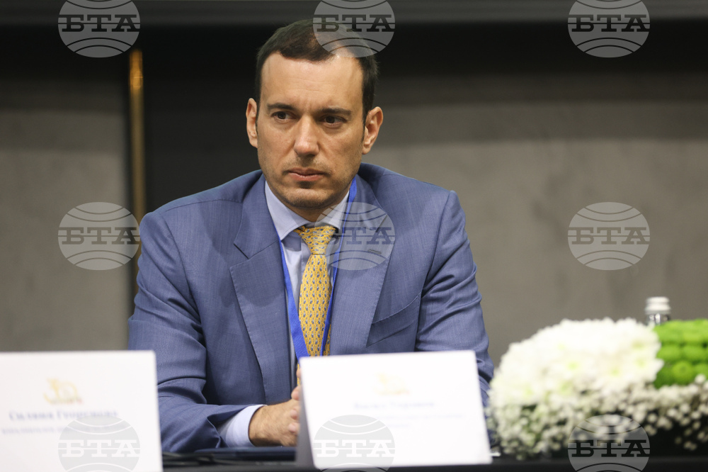 Sofia Mayor Criticizes Delay of Report Proposing Changes to City's Transport Network