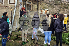 Свищов - 148 години от рождението на Александър Божинов - поднасяне на цветя