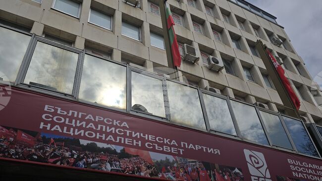 Участието ни в Борда за мир е в противоречие с принципите, на които се основава българската външна политика, заявяват от БСП