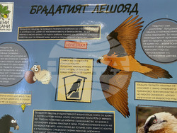 Самоков - Национален парк „Рила” - годишнина - честване