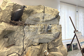 Самоков - Национален парк „Рила” - годишнина - честване