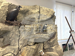 Самоков - Национален парк „Рила” - годишнина - честване