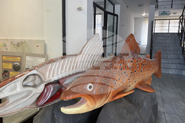 Самоков - Национален парк „Рила” - годишнина - честване