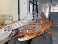 Самоков - Национален парк „Рила” - годишнина - честване