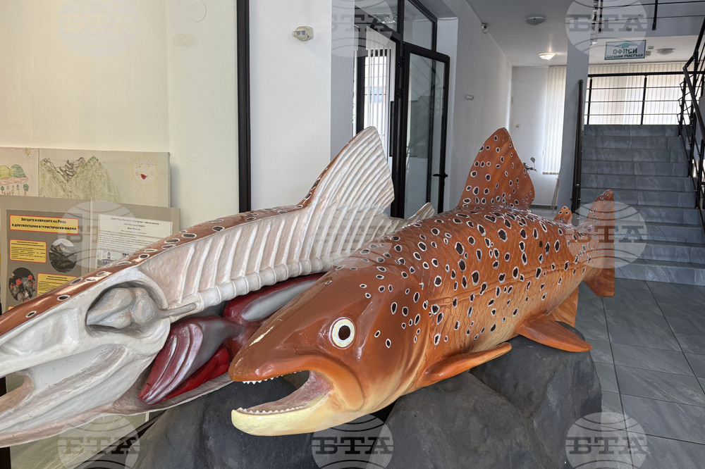 Самоков - Национален парк „Рила” - годишнина - честване