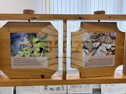 Самоков - Национален парк „Рила” - годишнина - честване