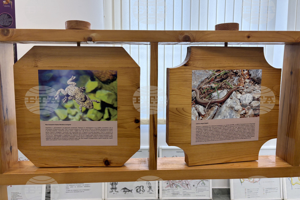 Самоков - Национален парк „Рила” - годишнина - честване