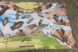 Самоков - Национален парк „Рила” - годишнина - честване