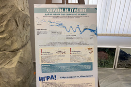 Самоков - Национален парк „Рила” - годишнина - честване