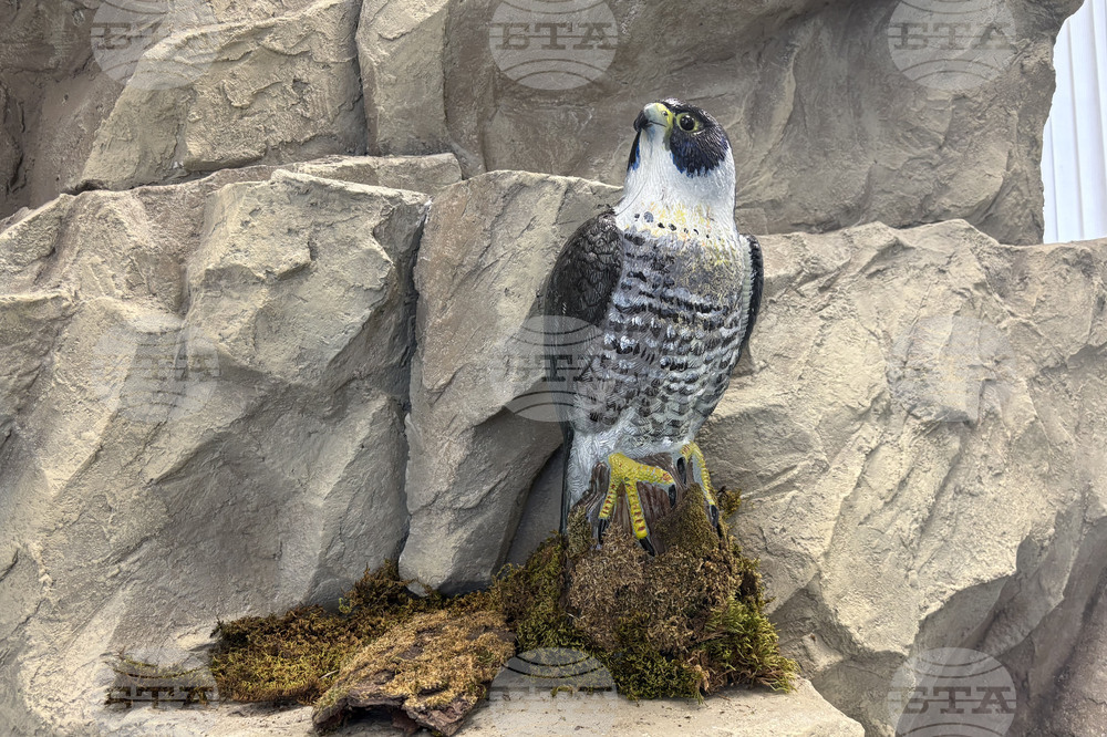 Самоков - Национален парк „Рила” - годишнина - честване