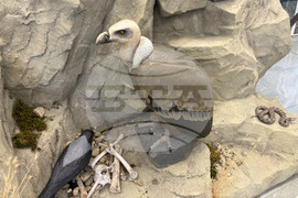 Самоков - Национален парк „Рила” - годишнина - честване