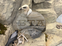 Самоков - Национален парк „Рила” - годишнина - честване