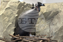 Самоков - Национален парк „Рила” - годишнина - честване