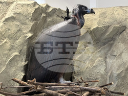 Самоков - Национален парк „Рила” - годишнина - честване