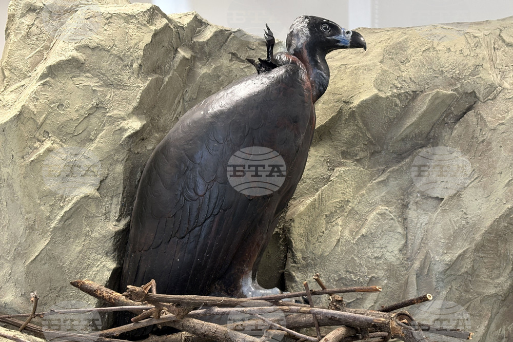 Самоков - Национален парк „Рила” - годишнина - честване