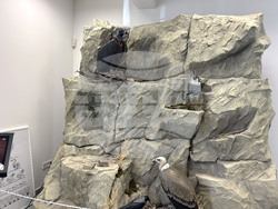 Самоков - Национален парк „Рила” - годишнина - честване