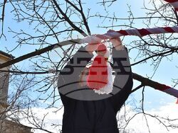 Снимка: Община Разград