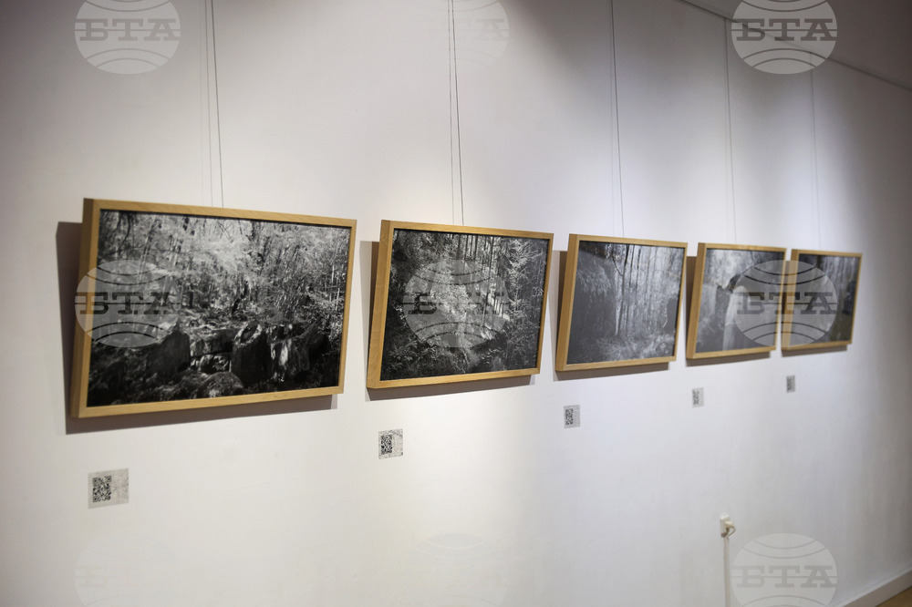 Русе - „Пътуващият паметник"- изложба