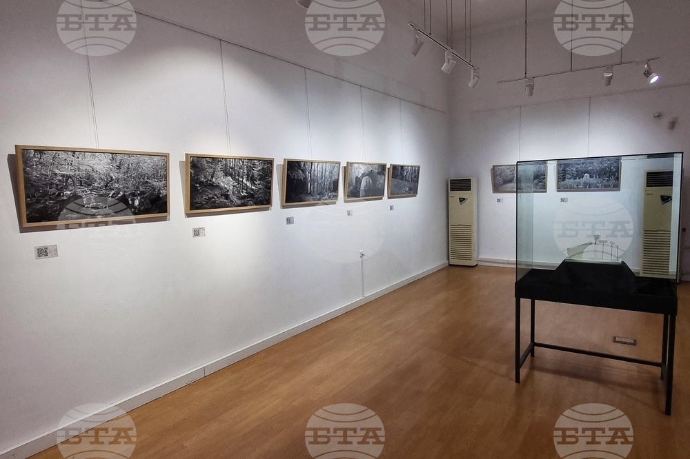 Русе - „Пътуващият паметник"- изложба