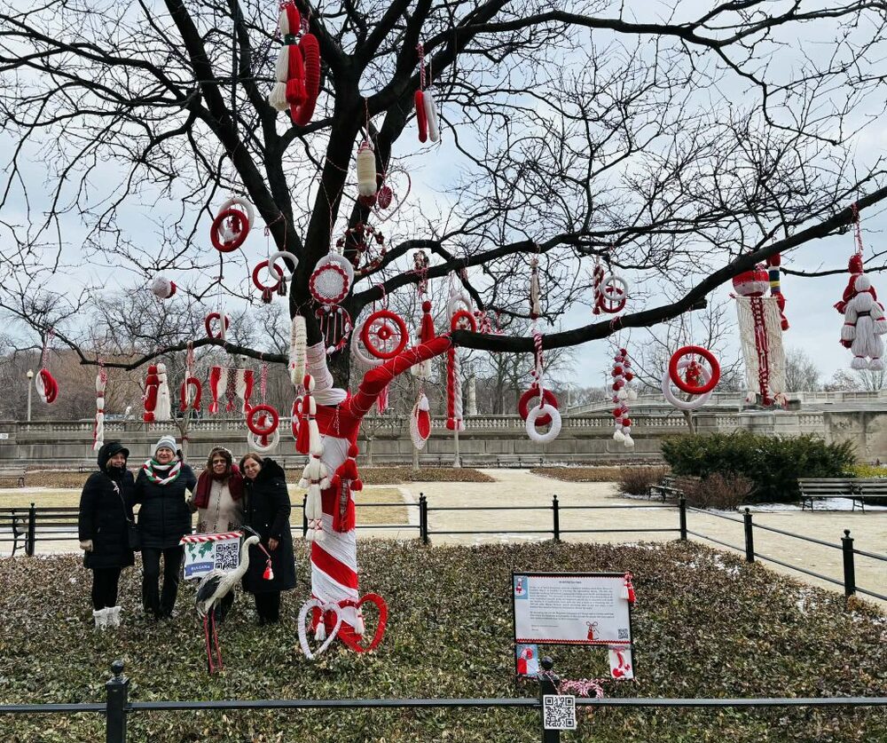 Българската общност в Чикаго, САЩ, украси дърво с мартеници