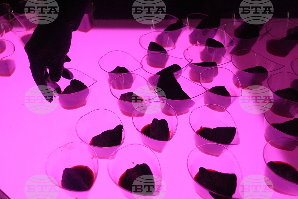 Food Festivals Future