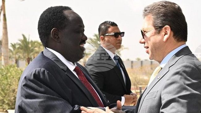 МЕНА: Ръководителят на египетското разузнаване се срещна с делегация от Южен Судан