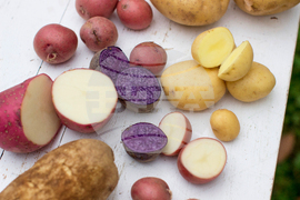 Be Well-Food-Chilled Carbs