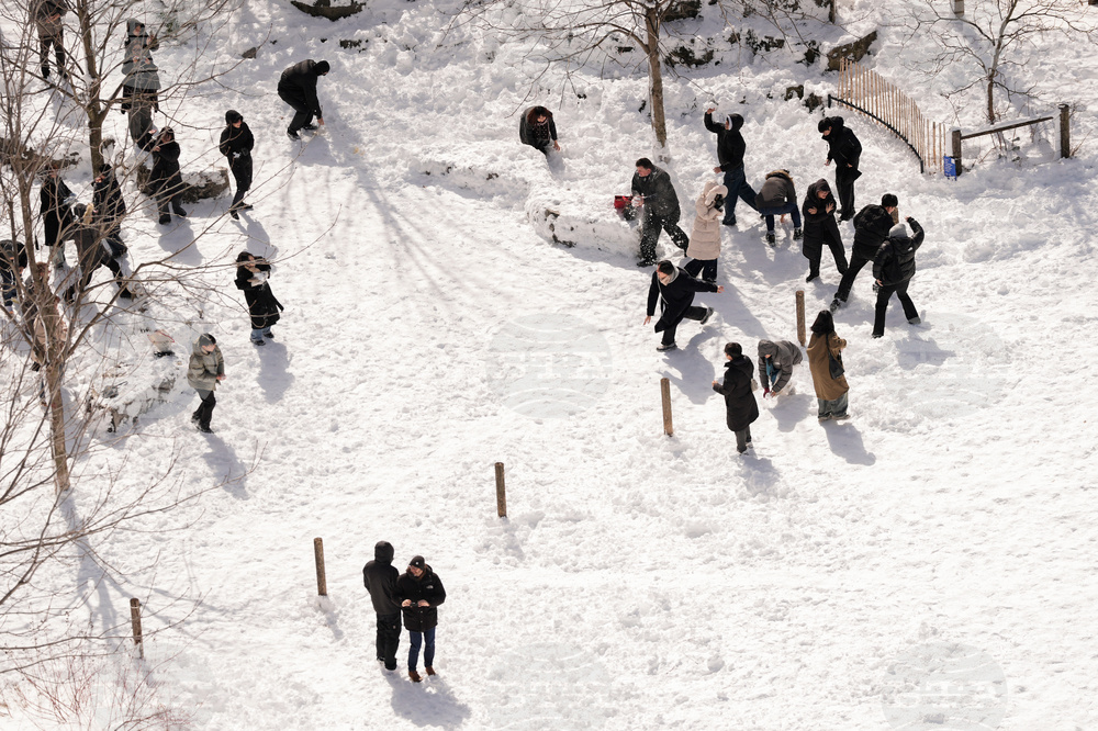 Winter Weather New York