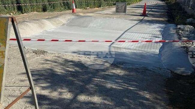 КНА: Износът на мляко и халуми продължава нормално, каза кипърският президент Христодулидис във връзка със случаите на шап на острова