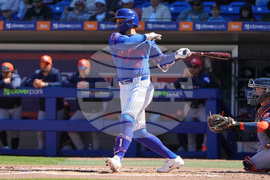 Astros Mets Spring Baseball