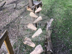 Снимка: Община Благоевград