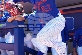 Astros Mets Spring Baseball