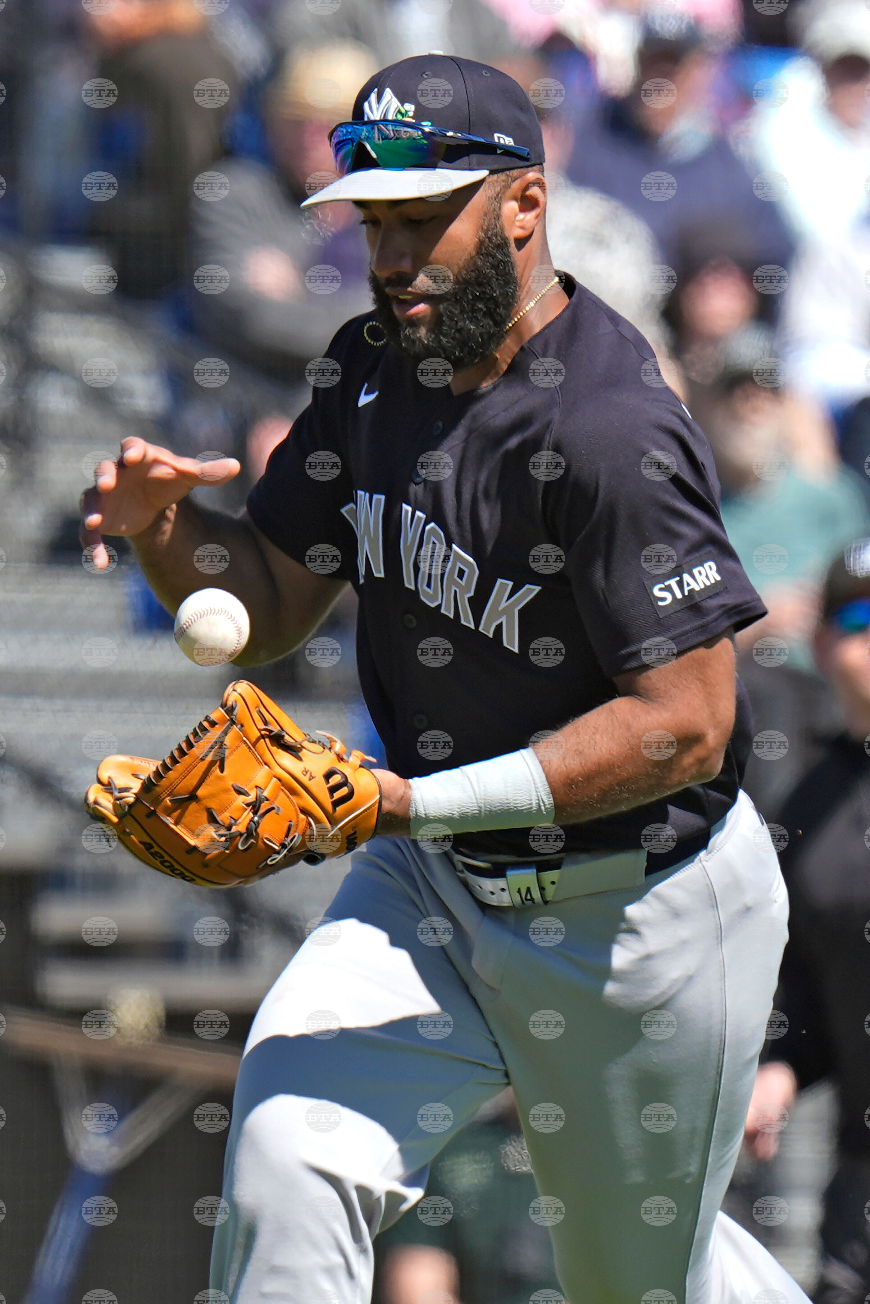 Yankees Blue Jays Baseball