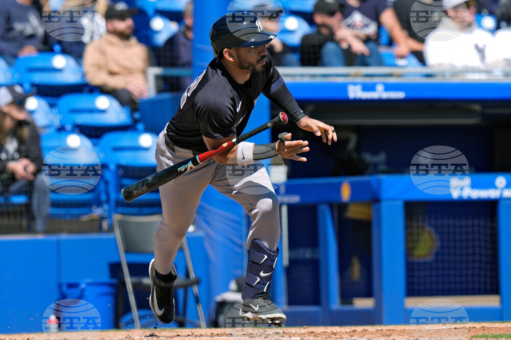 Yankees Blue Jays Baseball