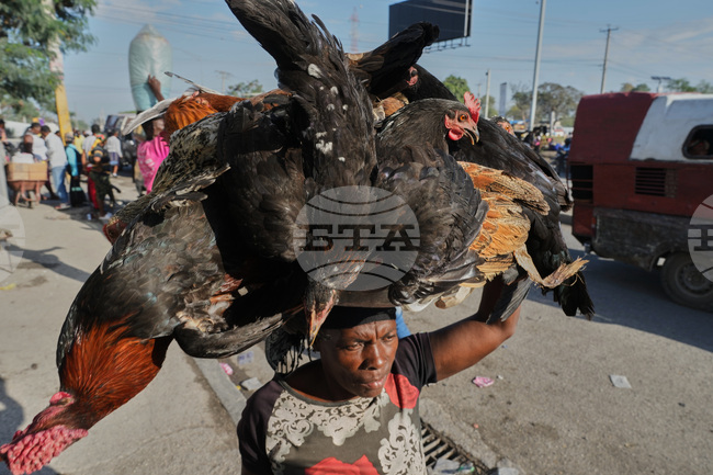 APTOPIX Haiti Daily Life