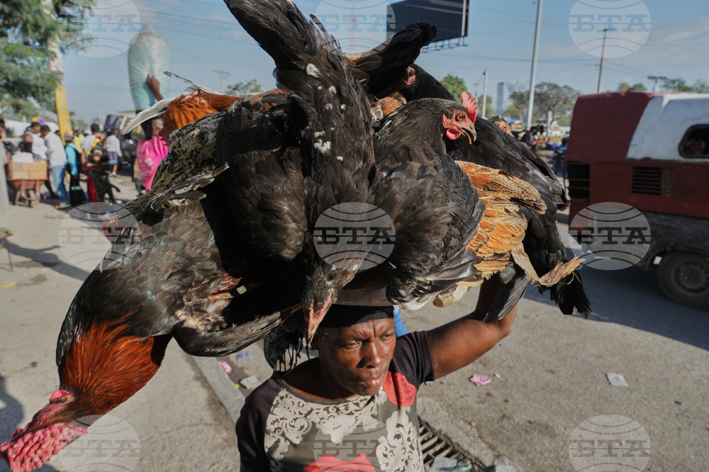 APTOPIX Haiti Daily Life