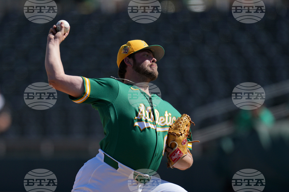 Brewers Athletics Spring Baseball