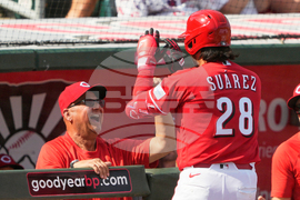 Royals Reds Spring Baseball