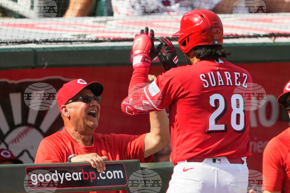 Royals Reds Spring Baseball