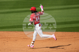 Royals Reds Spring Baseball