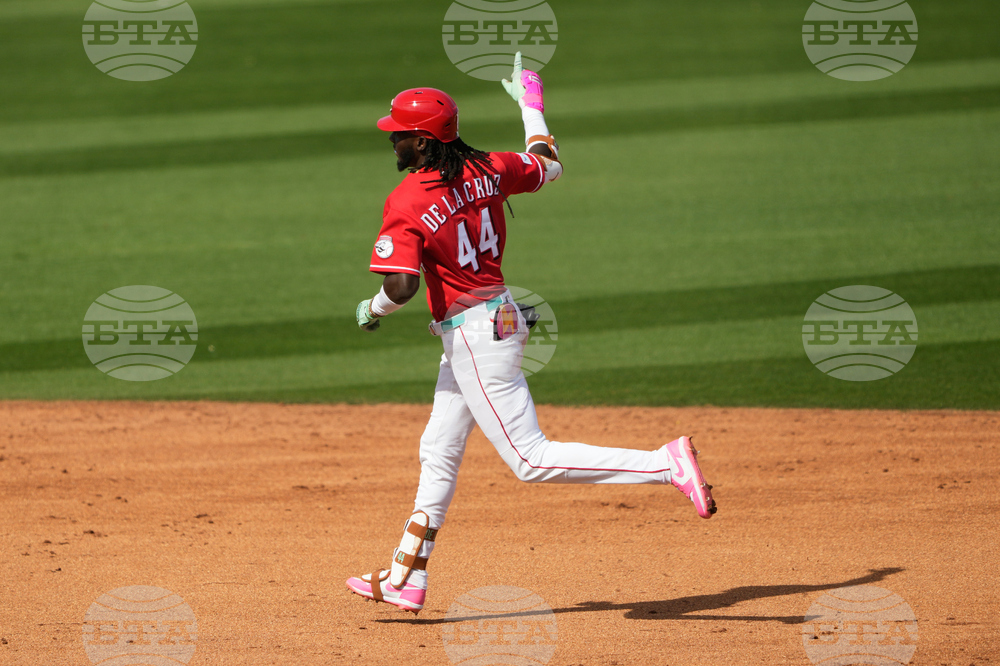 Royals Reds Spring Baseball