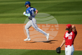 Royals Reds Spring Baseball