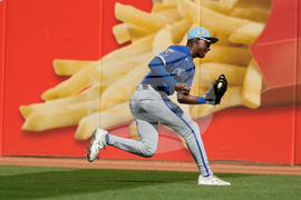 Royals Reds Spring Baseball
