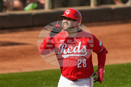 Royals Reds Spring Baseball
